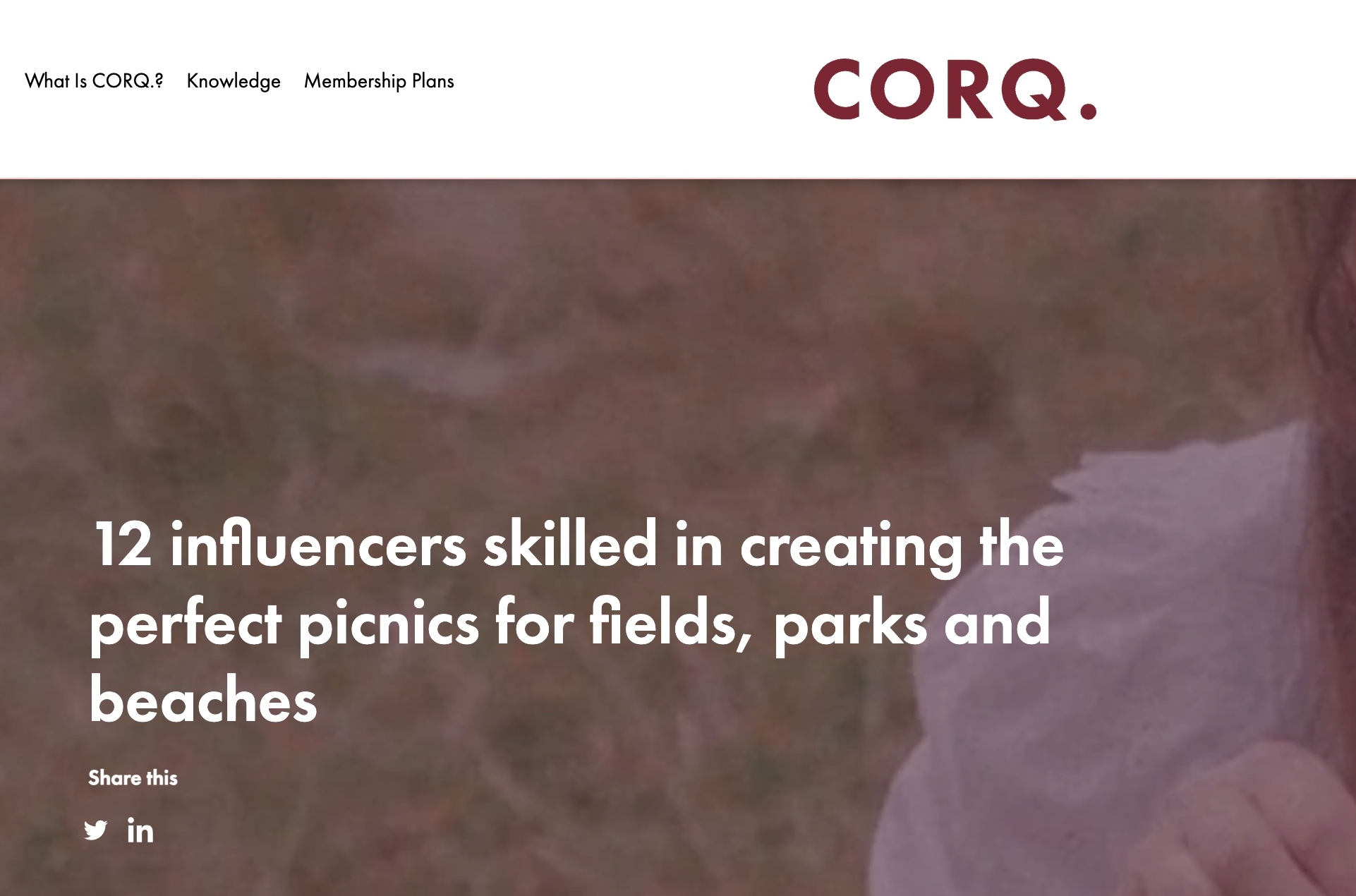 12 influencers skilled in creating the perfect picnics for fields, parks and beaches