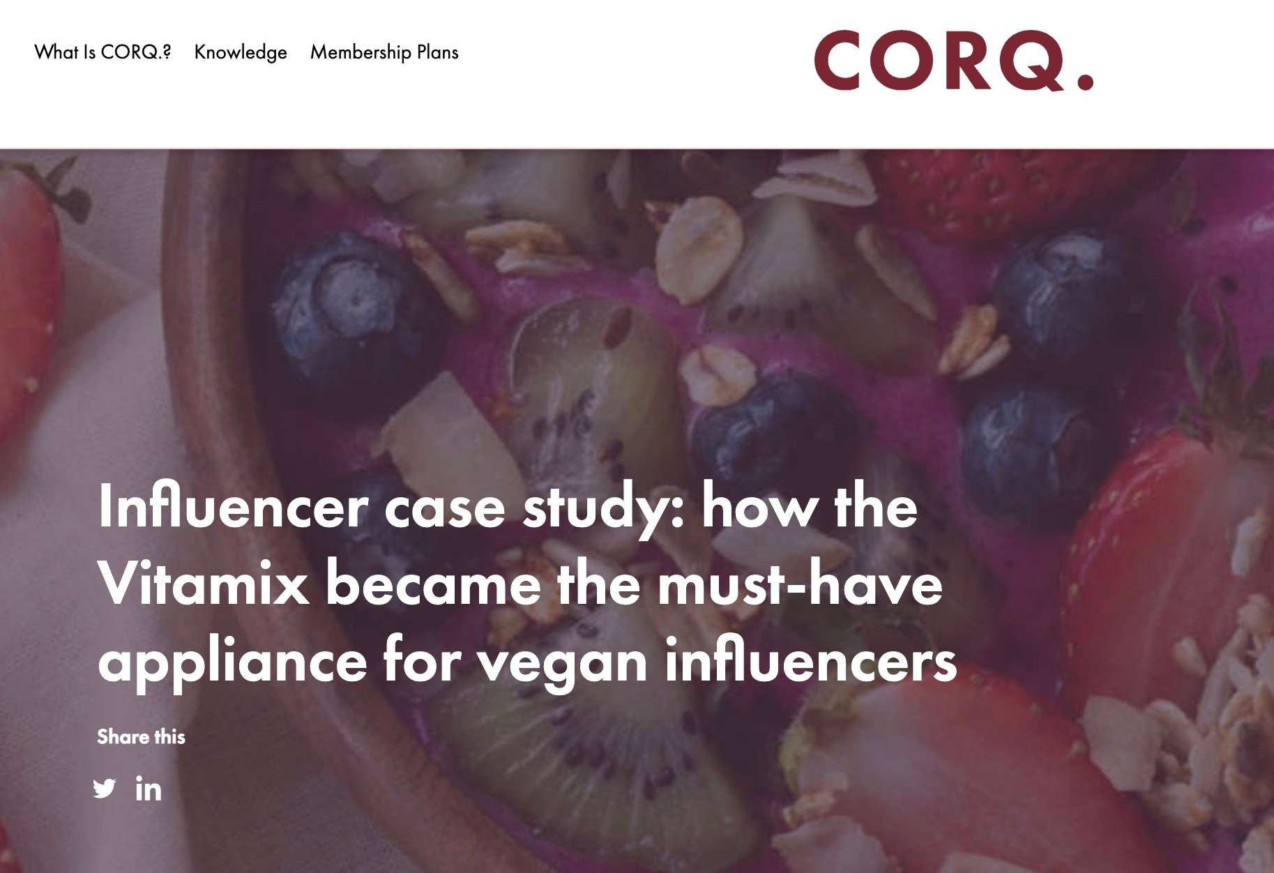Influencer case study: how the Vitamix became the must-have appliance for vegan influencers
